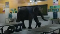 Seekor gajah tiba-tiba melintas di kantin SMK Telupid, Kinabalu, Malaysia. Kehadiran gajah itu bikin geger guru dan para murid di sekolah tersebut. (Foto: dok. FB Info Roadblock JPJ/POLIS)