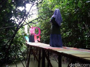 Foto: Hutan Mangrove Kekinian di Demak