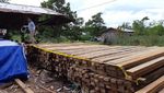 Foto: 5.000 Batang Kayu Belian dan Meranti Ilegal Disita Polda Kalbar