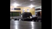 Gajah liar ini terlihat santai berjalan di sekitar kantin tersebut, diduga dia mencari makanan. Jelas saja, kehadirannya bikin geger para murid dan guru di sekolah tersebut.