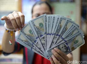Rupiah Sudah Jatuh 7%, BI: Masih Rendah