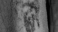 Dari gambar ini tampak tato seekor banteng liar dengan ekor panjang dan tanduk yang rumit. Di atasnya ada seekor domba Barbary dengan tanduk melengkung dan bahu yang terbungkuk. (Foto: Dok. British Museum)