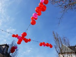 Begini Jepretan Galaxy S9 Saat Terang dan Gelap