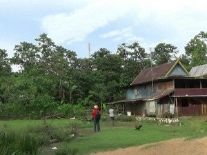 Ini Kampung Batman di Maros, Ribuan Kelelawar Tak Makan Buah Warga