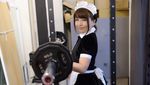 Foto: Maid Gym, Tempat Olahraga dengan Ditemani Pelayan Cantik