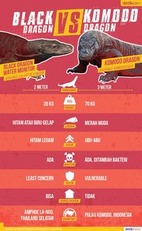 Duel Black Dragon VS Komodo Dragon