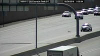 Polisi awalnya mendapat laporan dari pengendara soal 2 anak anjing yang berlarian di jalan tol. Polisi dan pemadam kebakaran lalu menuju lokasi.