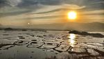 Foto: Danau di India Punya Pulau yang Bisa Gerak Sendiri, Ajaib!