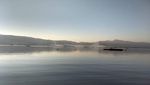 Foto: Danau di India Punya Pulau yang Bisa Gerak Sendiri, Ajaib!