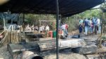 Foto: Penggerebekan Pabrik Minyak Ilegal di Tengah Hutan