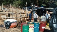 Foto: Tim gabungan mengamankan sejumlah barang bukti di antaranya 5 unit sepeda motor, 10 drum berisi minyak mentah dari berbagai jenis hasil olahan dan mesin genset. Pengolahan minyak mentah secara tradisional ini diduga telah berlangsung 1 bulan.Dok. Polres Prabumulih