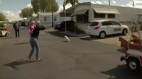 Dua ekor anak anjing itu tidak berhasil tertangkap juga. Mereka lalu lari ke taman trailer.