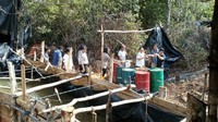 Foto: Penggerebekan dilakukan oleh tim Polres Prabumulih di Sumatera Selatan tepatnya di Desa Rambang, Prabumulih dan Desa Tanjung Miring, Ogan Ilir, Sumsel pada Kamis 1 Maret 2018 sekira pukul 08.00 WIB. Lokasi tersebut ada di tengah hutan belantara yang tidak jauh dari pemukiman penduduk.Dok. Polres Prabumulih