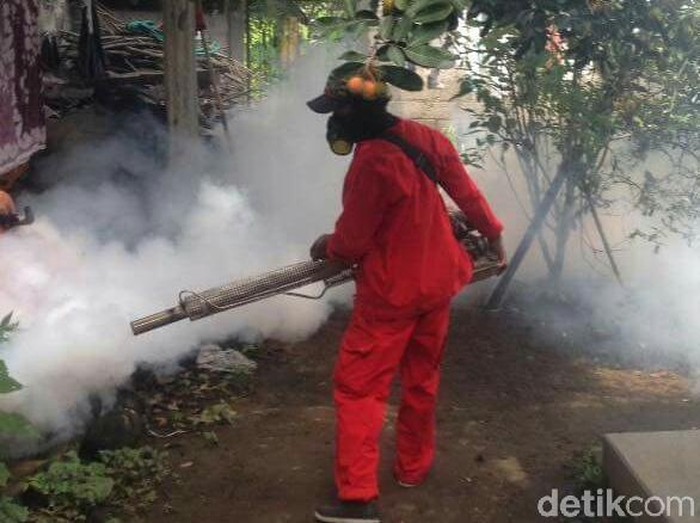 Dua Bulan, Tiga Warga Blitar Meninggal karena DBD