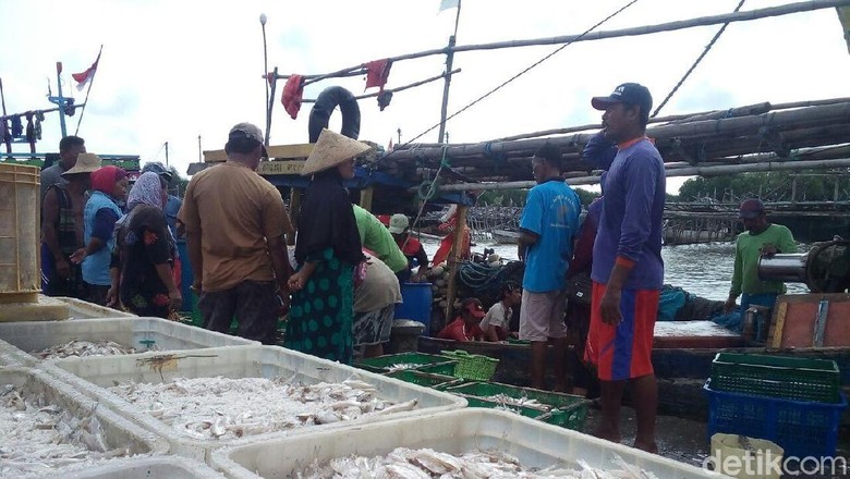 Dua Bulan Bersandar, Nelayan Demak Kembali Melaut Dua Bulan Bersandar, Nelayan Demak Kembali Melaut