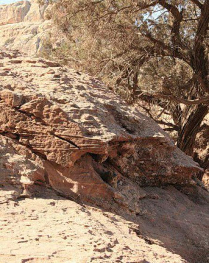 Test Kejelian Mata dan Fokus Kamu Lewat Gambar-gambar Ini ...