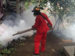 Ancaman DBD di Tengah Wabah Corona