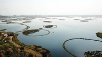 Danau Loktak ada di Manipur, India. Tak hanya luas, di danau ini juga ada pulau-pulau kecil dari tumbuhan yang kuat dan bisa berpindah sesuai musim (makupanmei/incrediblemanipur/Instagram)