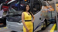 Pasar otomotif di Indonesia diprediksi bakal selalu bertumbuh, maka tak heran bila pameran mobil ini selalu dihadiri oleh banyak kalangan.