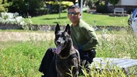 Anjing polisi ini bernama Puskas dan dia bertugas di Santa Ana, California, Amerika Serikat. Dia hampir kehilangan seluruh giginya saat melumpuhkan penjahat yang kabur.