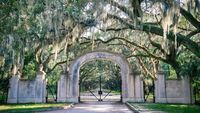Musim semi di Savannah (Alamy/CNN)