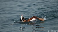 Para perenang yang sejak pukul 21.00 WIB dilepas dari dermaga Pelabuhan Bandar Bakau Jaya untuk menaklukkan Selat Sunda mulai memasuki garis finish di Tanjung Sekong, Merak, Cilegon. Mereka sudah menempuh jarak sekitar 39 km.
