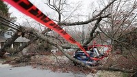 Kepolisian di James City County, mengkonfirmasi bahwa seorang pria berumur 44 tahun tewas ketika pohon tumbang menimpa truk yang dikendarainya. Sedangkan di Chesterfield County, selatan Richmond, seorang anak laki-laki berumur enam tahun tewas tertimpa pohon saat sedang tidur di rumahnya. (Foto: AFP)