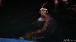Ratusan Prajurit Marinir Renang Selat Sunda