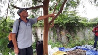 Imigrasi Kota Tangerang menyatakan Ian Whiteley (50), bule yang sempat luntang-lantung, tinggal secara legal di Indonesia. Ian juga punya KITAS yang masih berlaku.  (Foto: Haris Fadhil/ detikcom)