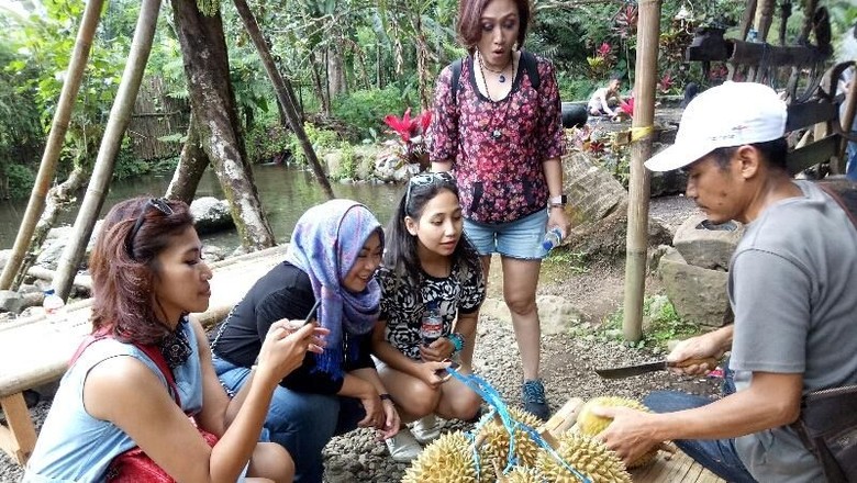 Liking Durian Garden, Sensasi Makan Durian Langsung di Bawah Pohon Liking Durian Garden, Sensasi Makan Durian Langsung di Bawah Pohon
