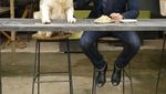 Ngopi Bareng, Ini Pose Richo Kyle dan Golden Retriever yang Bikin Gemas!