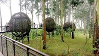 Mau berfoto seperti di dalam sangkar burung? Coba datangi restoran Lutung Kasarung di kawasan Dusun Bambu ini. Foto: Istimewa