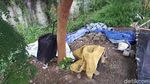 Begini Kondisi Tempat Tinggal Bule Luntang-lantung di Pinggir Kali Begini Kondisi Tempat Tinggal Bule Luntang-lantung di Pinggir Kali