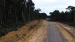 Tembus Hutan dan Bukit, Jalan Trans Papua Barat Sudah Tersambung