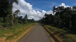 Tembus Hutan dan Bukit, Jalan Trans Papua Barat Sudah Tersambung
