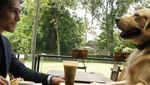 Ngopi Bareng, Ini Pose Richo Kyle dan Golden Retriever yang Bikin Gemas!