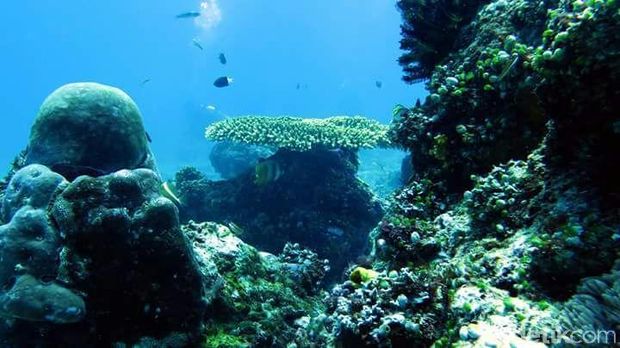 Pantai di Pulau Buru yang Bikin Jatuh Cinta