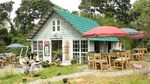 Romantis dan Keren! 10 Kafe di Bandung Ini Cocok Jadi Lokasi Foto Prewedding