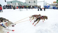 Foto: Dok. REUTERS/Mark Meyer