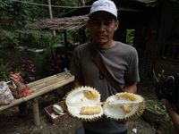 Likin sang inisiator (Ardian/detikTravel) 