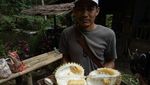 Foto: Weekend di Banyuwangi, Bisa Makan Durian di Bawah Pohon
