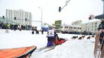 Foto: Balapan Anjing di Alaska yang Dinanti tapi Juga Dikritik