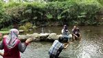 Foto: Weekend di Banyuwangi, Bisa Makan Durian di Bawah Pohon