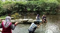 Foto: Di sekeliling kolam tersebut ada beberapa pohon durian yang sedang berbuah. Agar tidak mencelakai orang saat jatuh, buah durian diikat dengan tali. Jika beruntung, pengunjung bisa ikut proses memanen durian (Ardian/detikTravel)