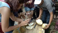 Foto:  Pengunjung bisa memilih sesuka hati pilihan durian yang diinginkan. Ada banyak varian durian yang menarik (Ardian/detikTravel)