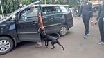 Foto: Ian Bule Luntang-lantung Bawa Anjing Saat Dipindah ke Jakpus