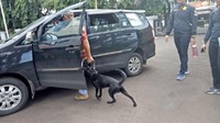 Saat dipindahkan, Ian tampak membawa seekor anjing hitam. Belum diketahui milik siapa anjing tersebut. (Foto: Denita Matondang/detikcom)