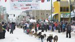 Foto: Balapan Anjing di Alaska yang Dinanti tapi Juga Dikritik