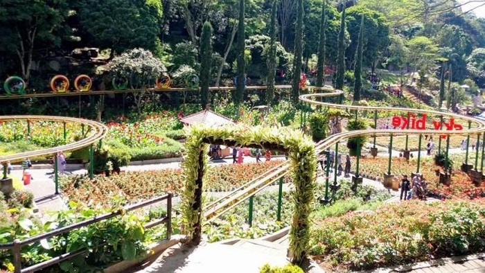 Taman bunga di Batu