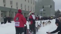 Masyarakat untuk Perlakuan Etis Terhadap Hewan (PETA) mencatat lebih dari 150 anjing mati selama bertahun-tahun pelaksanaan lomba ini (Foto: Dok. Fox News)
